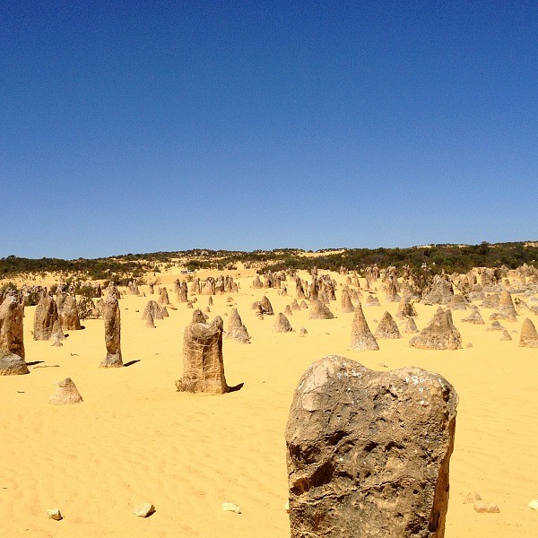 pinnacles desert western australia