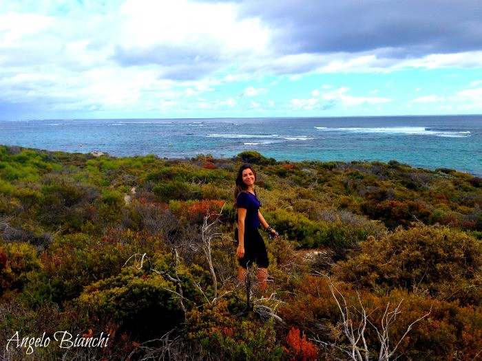 paisagem rottenest island australia