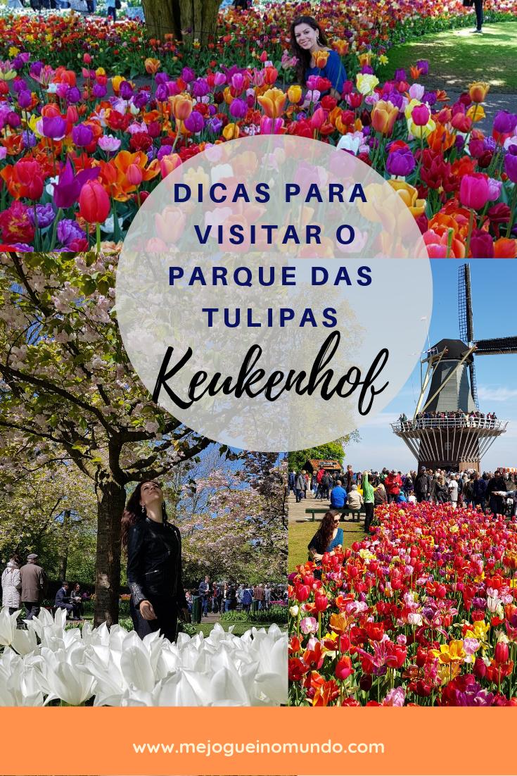 visitar o parque das tulipas em amsterda