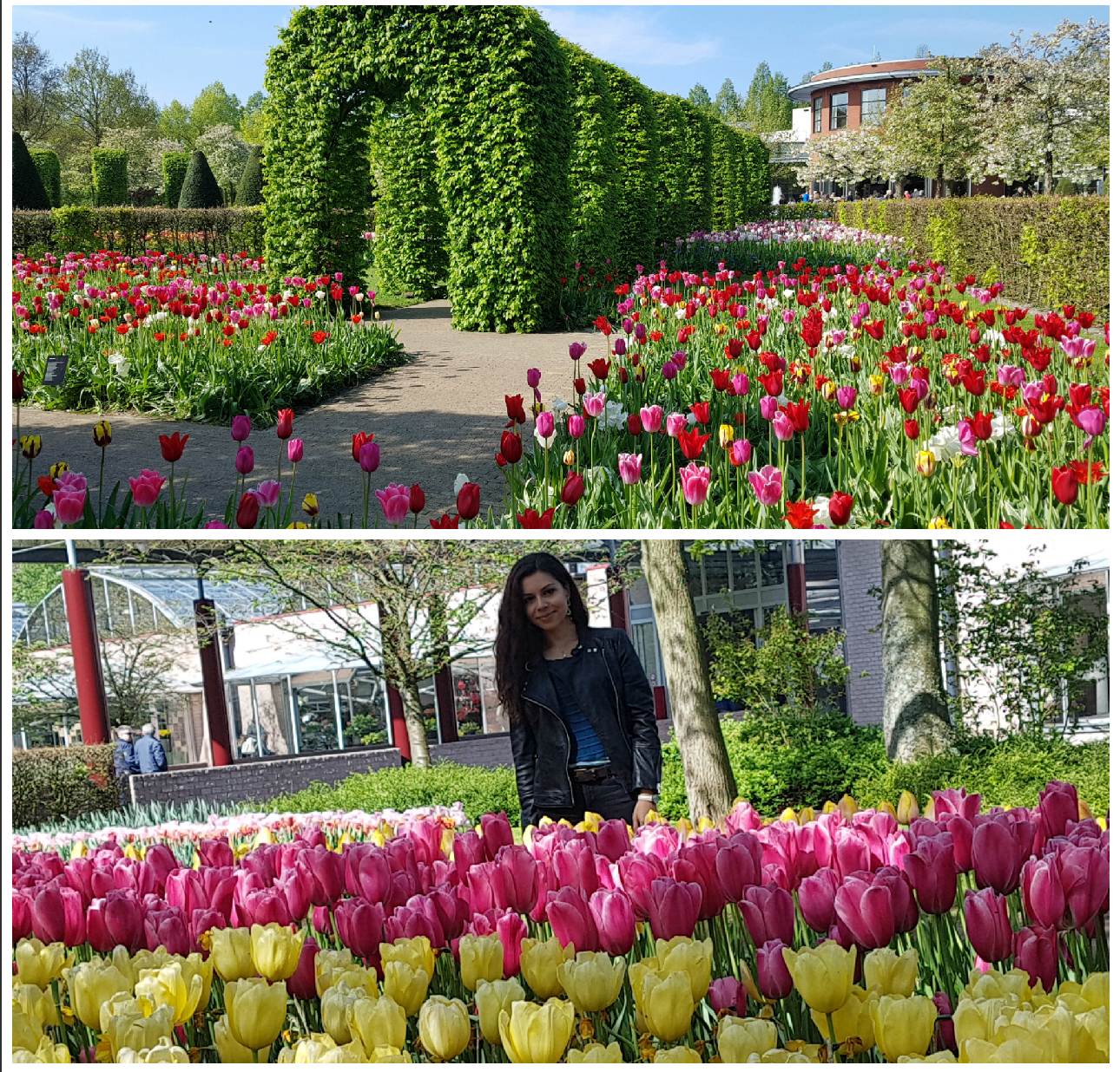 o que fazer no parque das tulipas keukenhof
