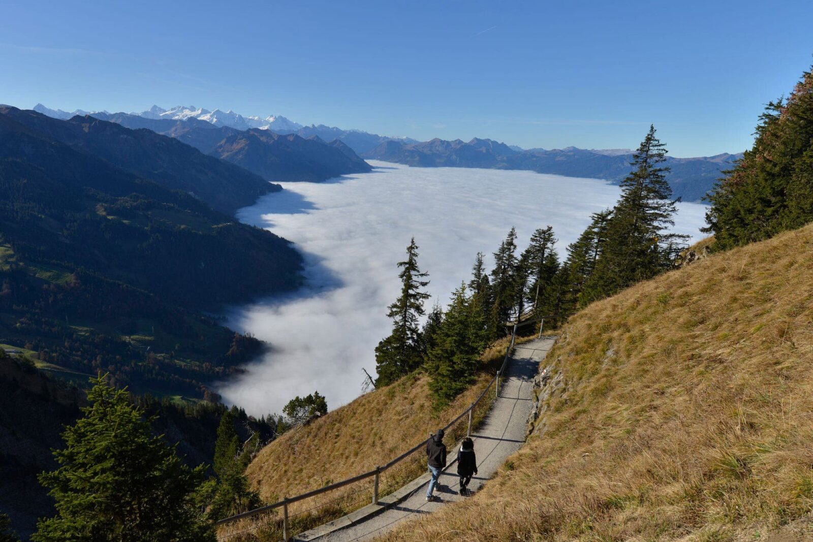 viagem para a suiça em novembro neblina